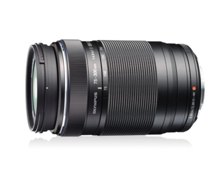 Zuiko Digital ED75-300mmF4.8-6.7Ⅱ | アーク・ビデオ（ARK VIDEO 